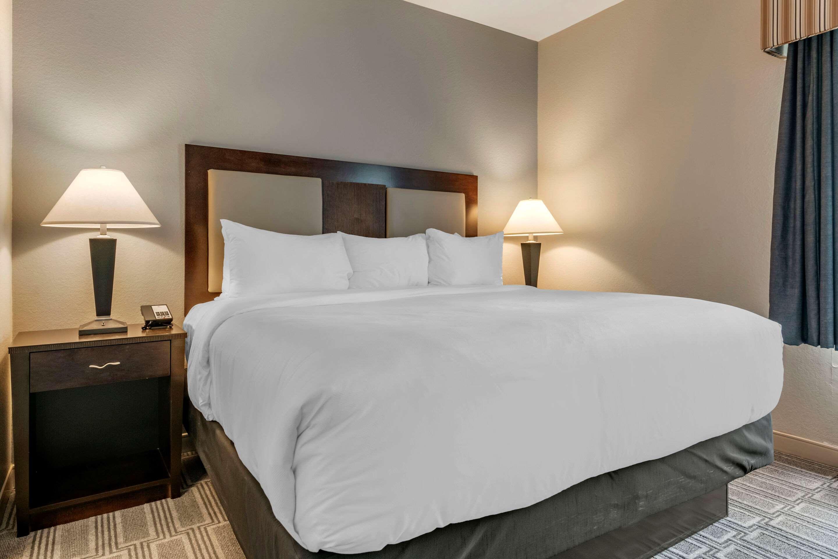 Comfort Inn & Suites Port Charlotte-Punta Gorda المظهر الخارجي الصورة